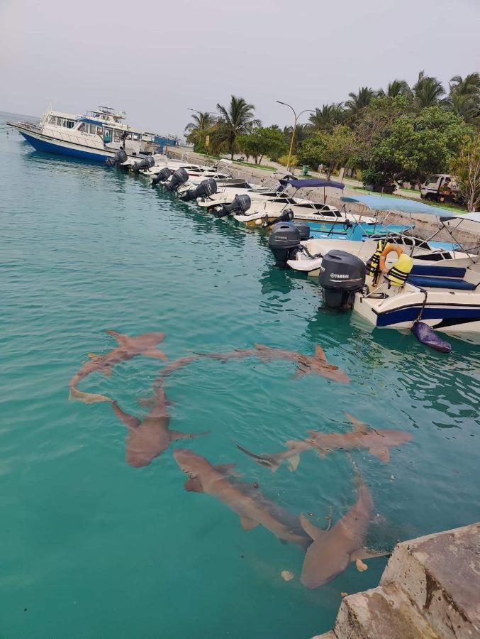 Rashuthere Maldives Rasdhoo 外观 照片