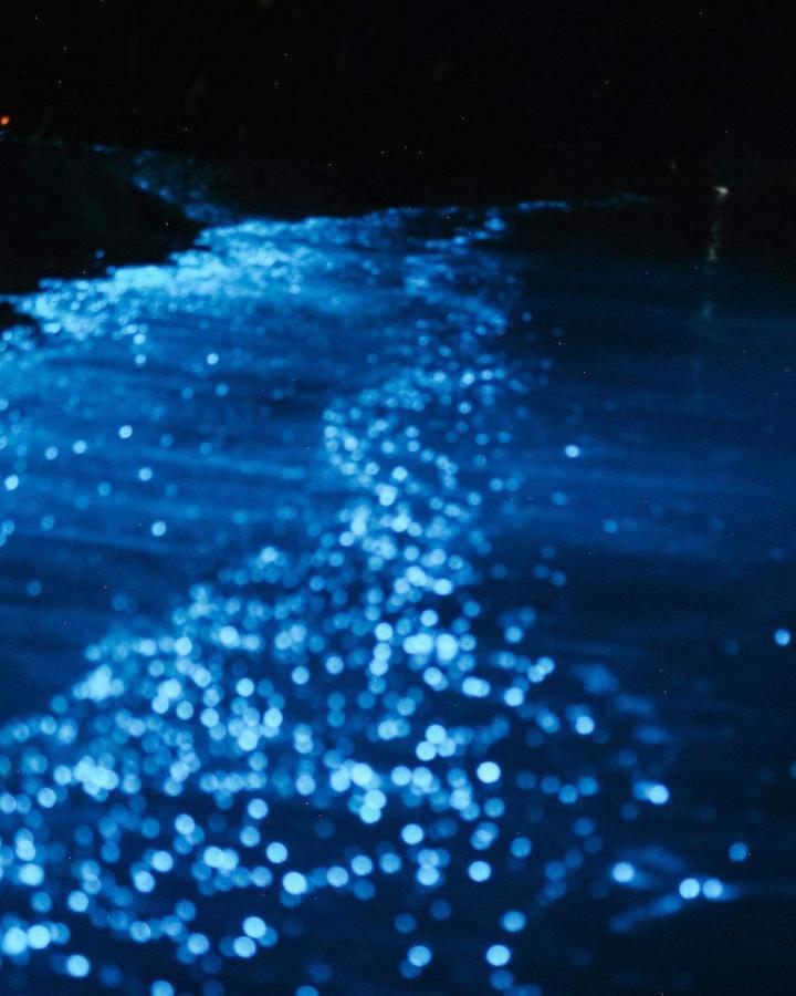 Rashuthere Maldives Rasdhoo 外观 照片