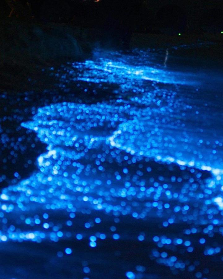Rashuthere Maldives Rasdhoo 外观 照片