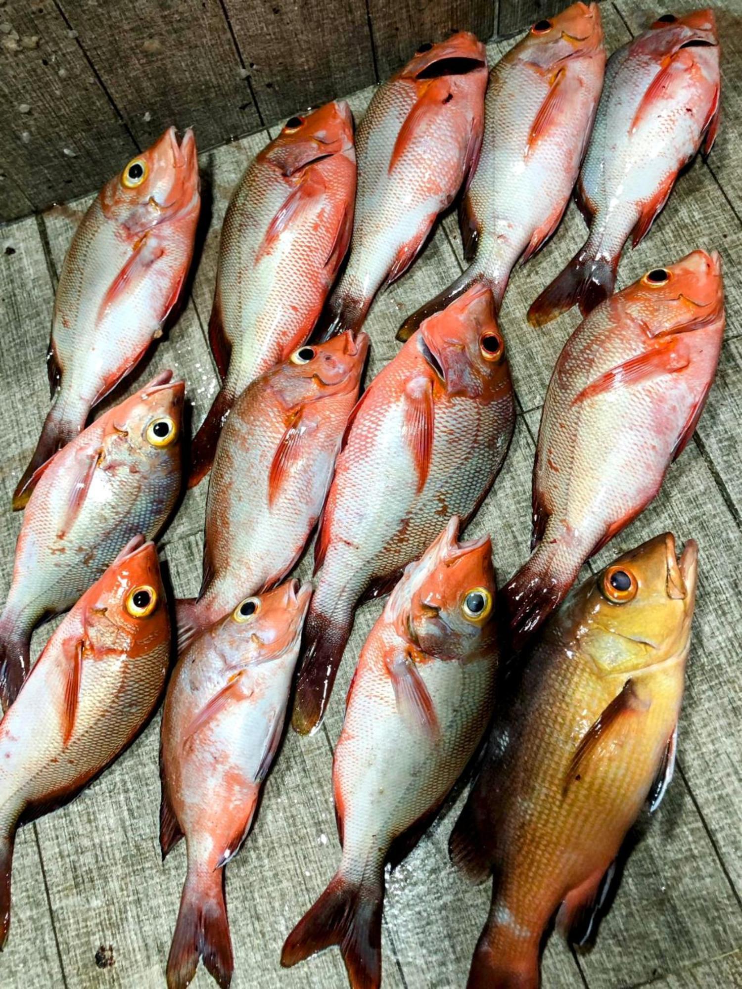 Rashuthere Maldives Rasdhoo 外观 照片