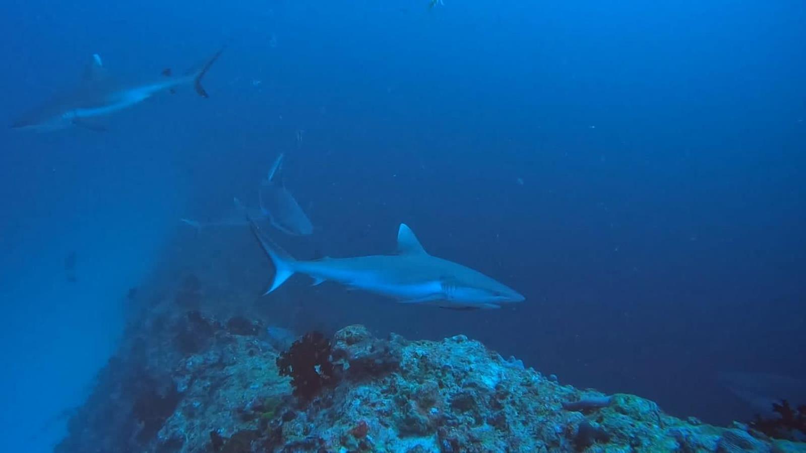 Rashuthere Maldives Rasdhoo 外观 照片